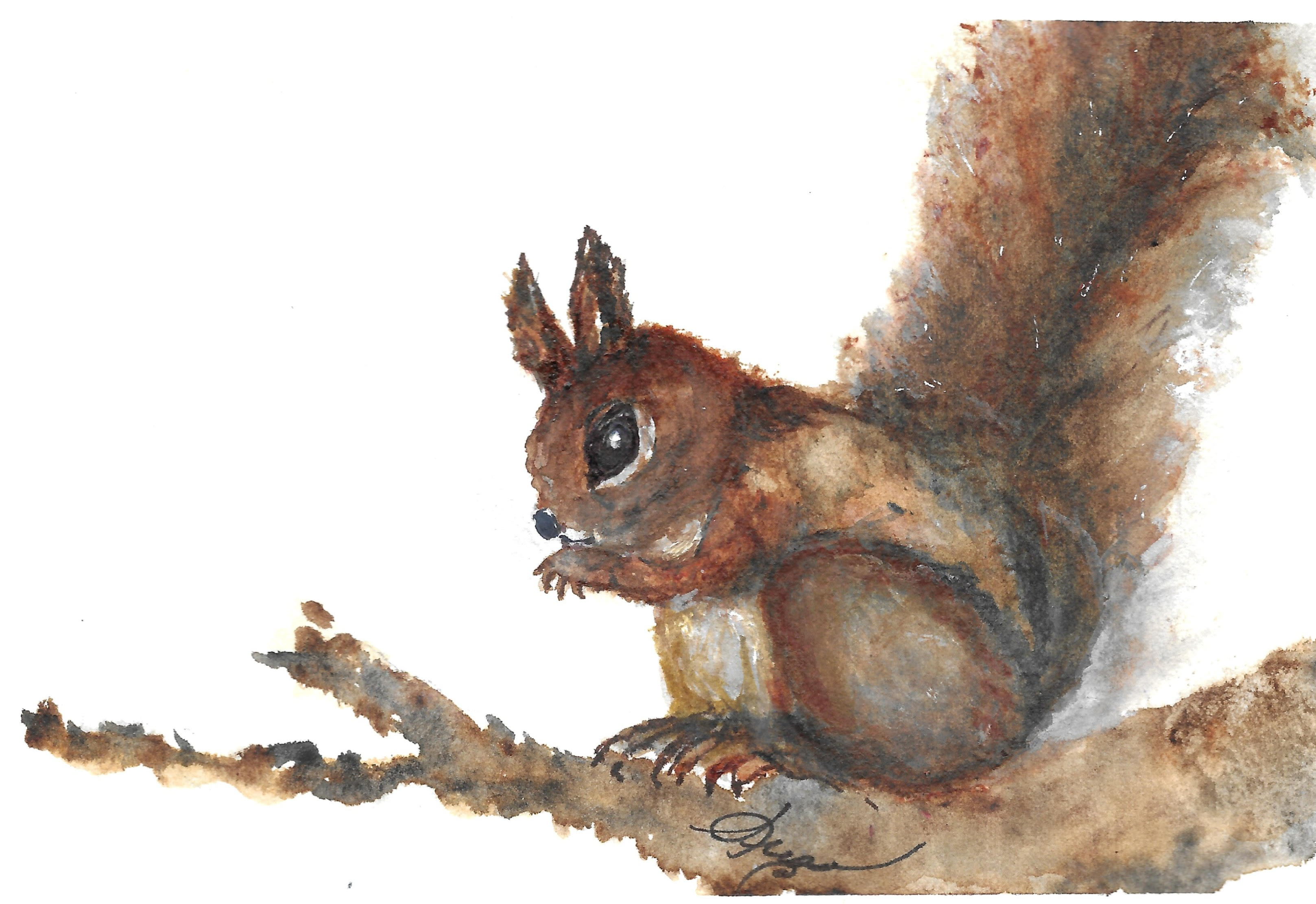 Watercolor illustration of a squirrel sitting on a branch